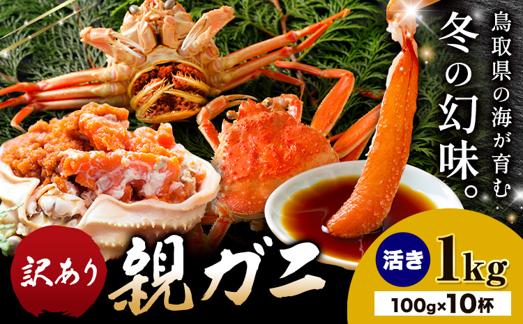 【ふるさと納税】カニ 親ガニ 訳あり 1000g 1kg 活き 10杯 《12月上旬-12月末頃出荷》 SOO合同会社 鳥取県 八頭町 送料無料  蟹 かに 姿 鍋  訳アリ
