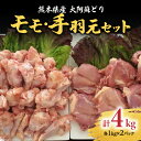 【ふるさと納税】熊本県産 大阿蘇どり モモ・手羽元 合計約4kg セット 各約1kg×2パック 2種 鶏肉 もも 手羽 真空パック 冷凍 国産 九州 送料無料