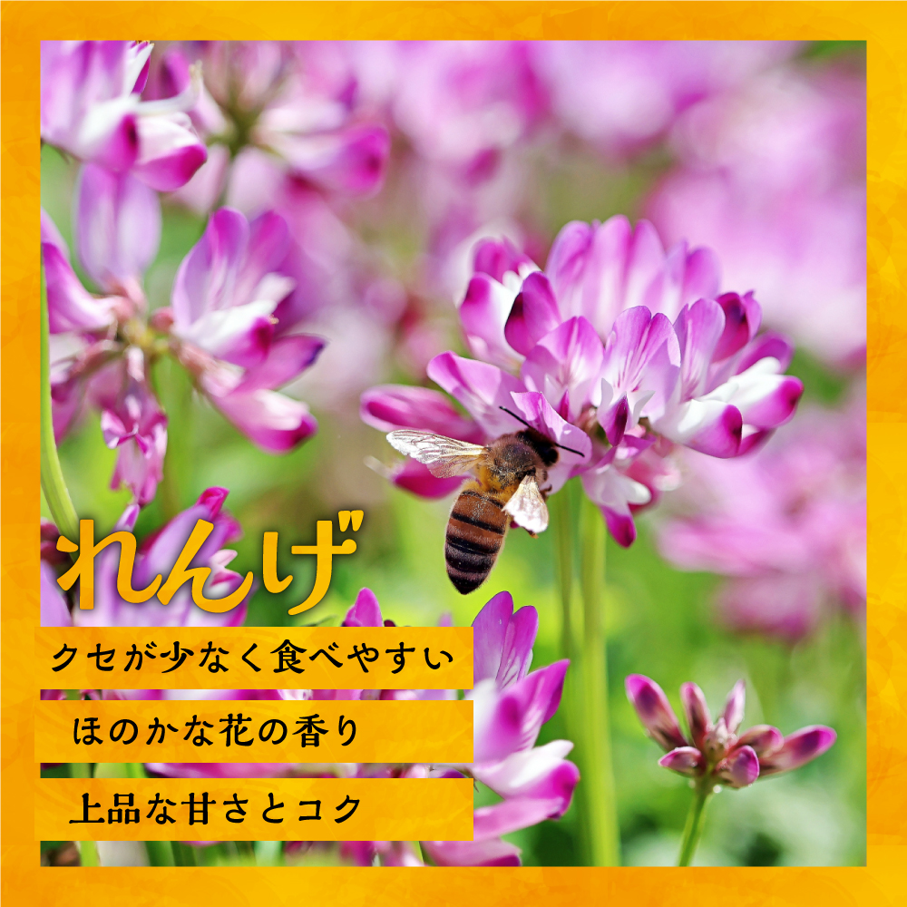 国産純粋完熟はちみつ3種セット(れんげ･菩提樹･黄金草)ご家庭用計1.5kg[16-1158]
