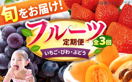【★先行予約★ 2027年2月発送開始】【3回定期便】フルーツ定期便 (いちご/びわ/ぶどう) イチゴ ビワ ブドウ くだもの フルーツ ふるーつ つめあわせ 定期便 種なし 巨峰 / ピオーネ 果物 苺 itigo icigo budou biwa 葡萄 枇杷 fruit 詰め合わせ デザート 福岡 びわ いちご 果物 広川町 / JAふくおか八女農産物直売所どろや [AFAB008]