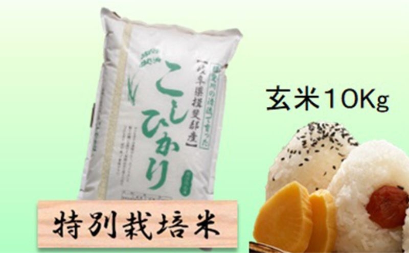
                  【令和7年産】特別栽培米 10kg【玄米】（コシヒカリ） [№5644-1574]
                