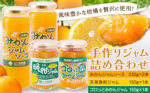 果樹園のジャム詰め合わせ フルーツ 果物 《90日以内に出荷予定(土日祝除く)》 くだもの ジャム ソース ジャムソース 柑橘 晩柑 ミカン みかん 手作り セット 熊本県 苓北町 株式会社 山下果樹園