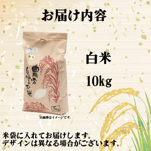 【 令和7年産 米 10kg 】 日本晴 米 白米