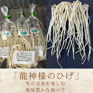 [2026年3月20日まで受付] 根ニラ[龍神様のひげ] 1,500g[100g×15袋]/ すわファーム 根ニラ 野菜 [91-02]
