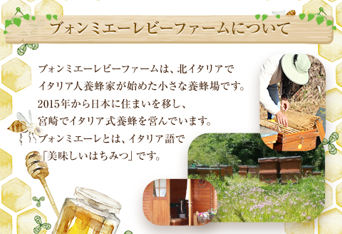 【最速便】【数量・期間限定】宮崎産非加熱ハチミツ(南国青島シリーズ)2種 ブォンミエーレ春のハチミツ160g×2本セット 蜂蜜 国産 非加熱