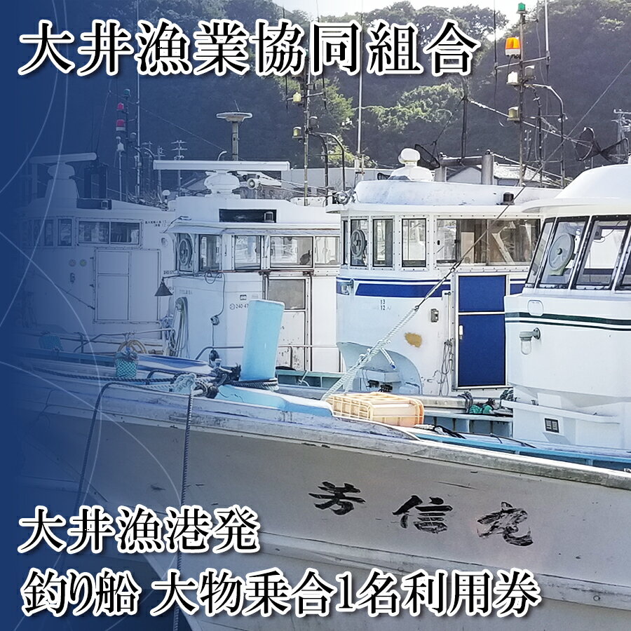 【ふるさと納税】 [ 大井漁協 ] 釣り船 大物 乗合 利用券 1人 乗船券 釣り 乗り合い 船 魚釣り フィッシング 体験 チケット レジャー 春 夏 秋 冬 魚 さかな 愛知県 南知多町 人気 おすすめ 南知多 愛知 東海 海 漁船 鮮魚 子供 アウトドア 夏休み 観光