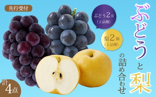 【先行受付】ぶどう2房と梨2個詰め合わせ 2027年9月下旬発送予定 果物 くだもの フルーツ ブドウ なし 葡萄 202008