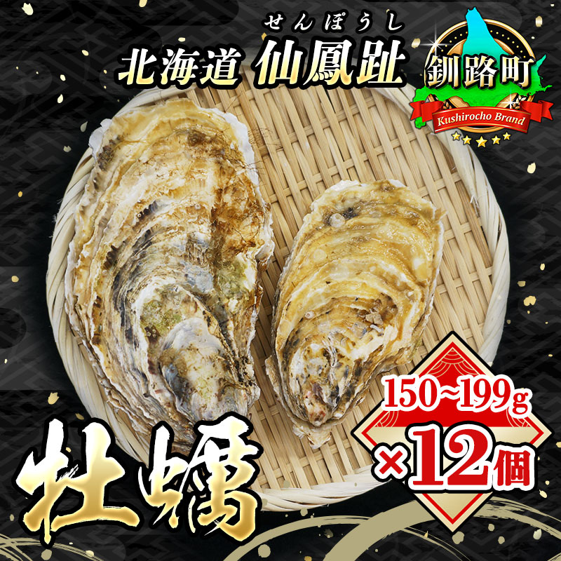 ＼先行予約／北海道 仙鳳趾名産 牡蠣 150g〜199g×12コ+かきナイフ付き かき漁師直送 K3-3＜出荷時期：2025年7月1日ごろ～順次出荷＞＜センポウシ : 釧路町の東 厚岸湾の西 カキの名産地＞ | せんぽうし 牡蠣 生食用 殻付き