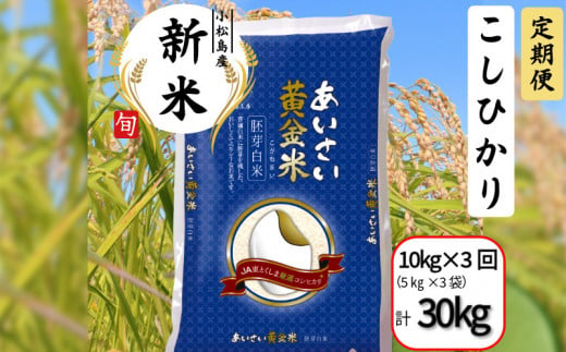 【定期便3回】 令和6年産 新米 定期便 あいさい黄金米計30kg 10kg（5kg×2）×3回  胚芽白米 徳島県 コシヒカリ お米 こめ おこめ こしひかり 白米 精米 国産 ごはん 12kg 18kg 30kg 40kg