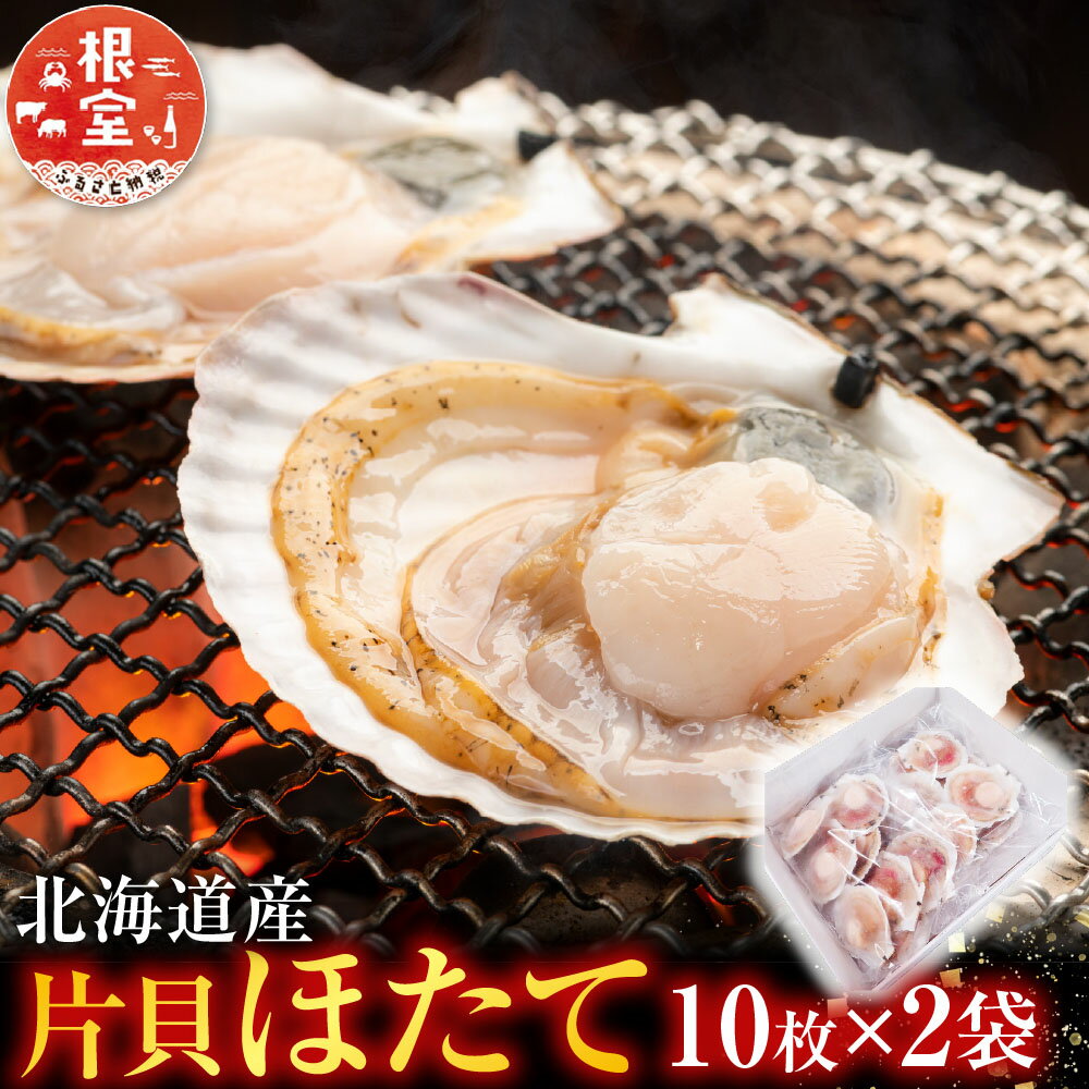 【ふるさと納税】 根室海鮮市場 ＜直送＞ 片貝ほたて 10 枚 × 2 袋 ホタテ ほたて 帆立 帆立貝柱 ほたて貝柱 貝柱 ホタテ貝柱 殻付き 炉端焼き お取り寄せ グルメ 北海道 根室市 ふるさと納税 A-28124