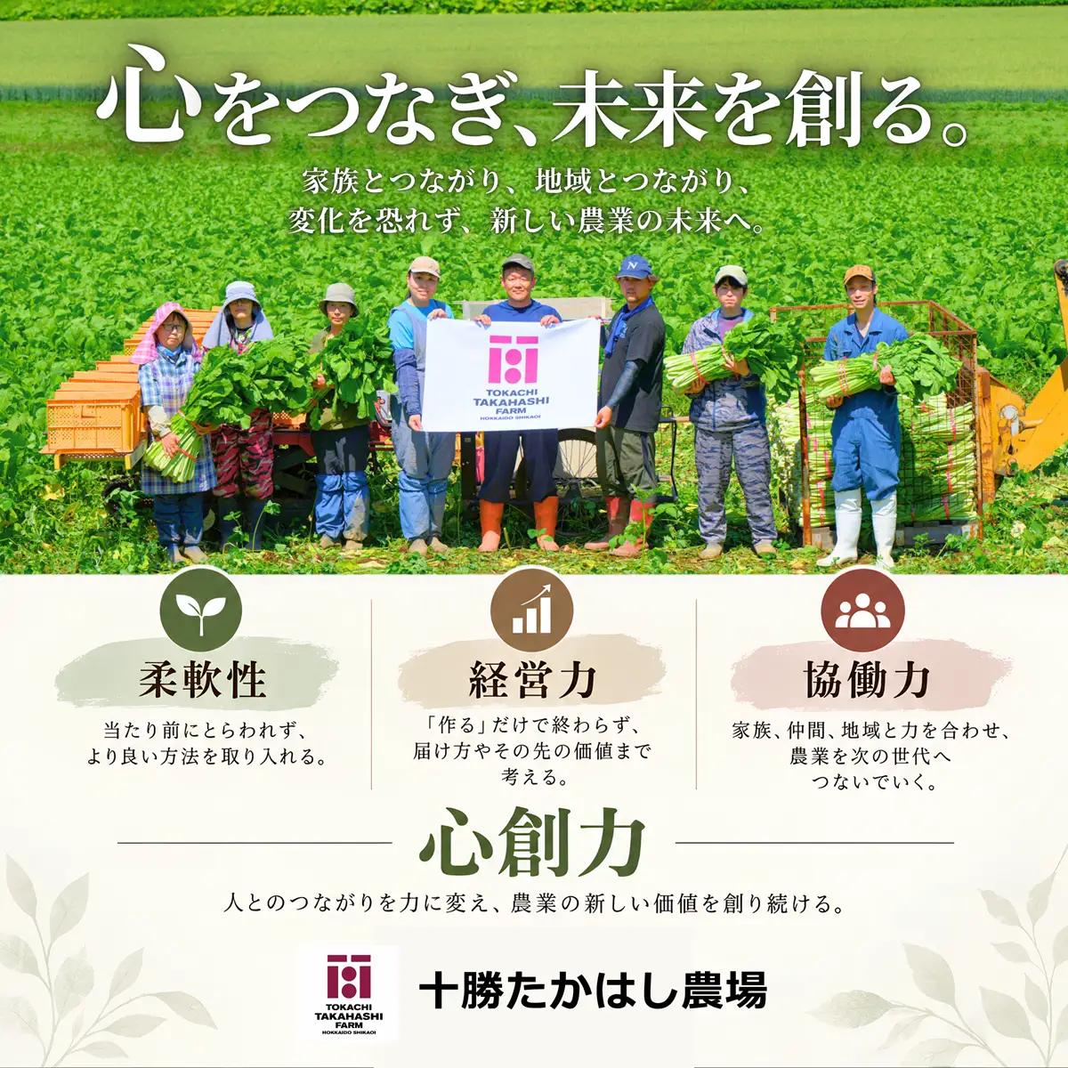 【期間限定】越冬じゃがいも　きたあかり　5kg SKAH002-2
