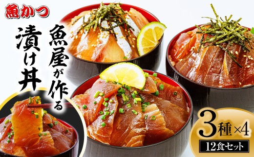 漬け丼 3種×4パック 計12食セット 【漬け丼 づけどん ヅケドン づけ丼 ヅケ丼 漬けどん 漬けドン 海鮮 海鮮丼 惣菜 冷凍 真空パック 小分け 海鮮セット 詰め合わせ 旬の鮮魚 ハマチ カンパチ カツオ 鯖 サバ ヒラマサ 平政 マグロ アジ ヒラメ 鯛 漬け づけ丼 お茶漬け ごはん 山口県 宇部市】