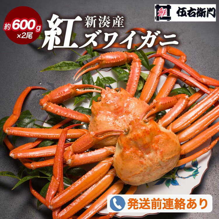 【ふるさと納税】【伍右衛門】新湊産紅ズワイガニ約600g×2尾 ※2026年9月～発送 ※発送まで1か月以上かかる場合があります。