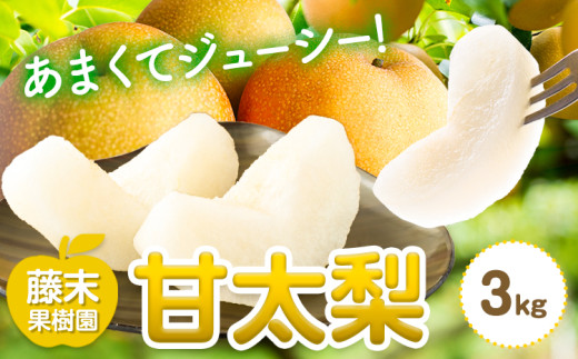 【2026年先行予約】梨 甘太梨 約3kg 藤末果樹園 《9月中旬-9月下旬頃出荷》 熊本県 荒尾市 梨 なし 果物 フルーツ デザート かんたなし 送料無料
