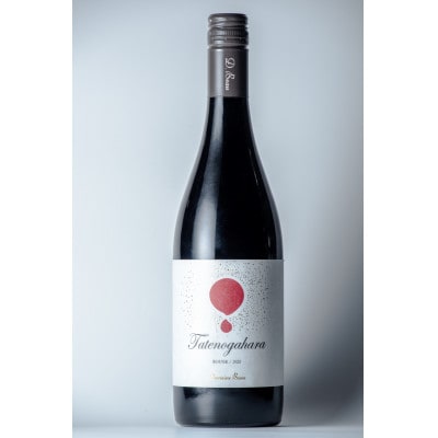 【ワインコンクール受賞】Domaine Beau 「南砺市産のぶどう」立野原ワイン5本セット【配送不可地域：離島】