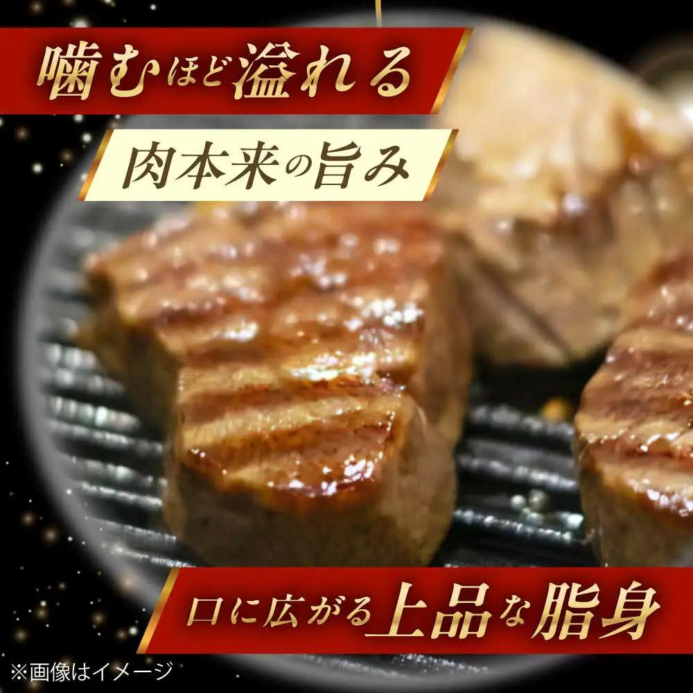 シャトーブリアン 150g×2 牛肉 国産 シャトーブリアン 長崎和牛 牛肉 QBN058