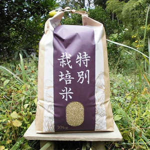 【令和7年産】『タガメの里・自然米』ぴかまる 玄米10kg 【有機JAS認証米】 | お米 おこめ 米 コメ こめ ぴかまる 玄米 有機JAS認証米 兵庫県 上郡町