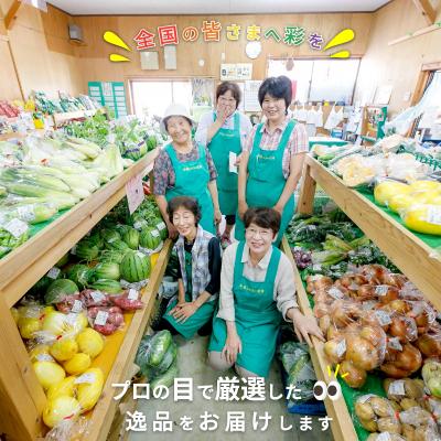 ふるさと納税 松浦市 直売所から直送!季節の野菜詰合せ |  | 02