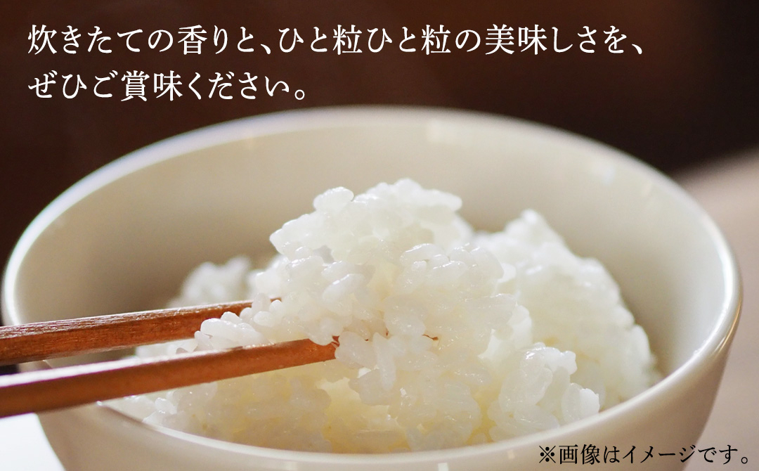 【 新米 】 令和8年産 ひとめぼれ 5kg 精米 こめ コメ お米 おこめ ライス 白米 ご飯 ごはん 米 岩手県 紫波町産 5キロ 国産米 [AO006]