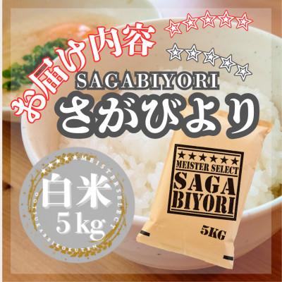 ふるさと納税 江北町 令和7年産さがびより白米5kg(五つ星お米マイスター厳選!) |  | 02