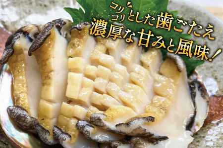 【期間限定発送】 海鮮 魚介 三陸 天然 活 アワビ Lサイズ 900g(5～6個入)