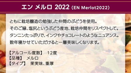 エン メルロ2022 EN Merlot2022 750ml×1本 茨城県産 牛久醸造場 日本ワイン ワイン 赤ワイン 750ml ミディアムボディ お酒 贈り物 葡萄 ぶどう