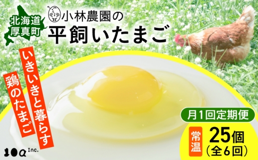 【全6回定期便】小林農園の平飼いたまご・無投薬 25個 常温配送《厚真町》【テンアール株式会社】 たまご 卵 玉子 鶏卵 生卵 平飼い 有精卵 定期便 6か月 北海道 [AXAN127]