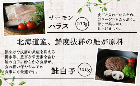 エゾ鹿＆サーモンレトルトセット（4種類）