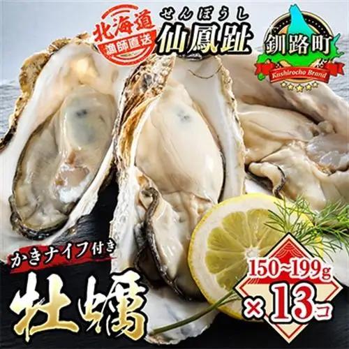 仙鳳趾名産 牡蠣 150～199g×13個+かきナイフ付K4-3_仙鳳趾 センポウシ せんぽうし 牡蠣 カキ 生食用 殻付き 牡蠣 絶品 産地直送 北海道 釧路町 釧路超 特産品 _【配送不可地域：離島・沖縄県・信越、北陸・東海・近畿・中国・四国・九州】【1294853】