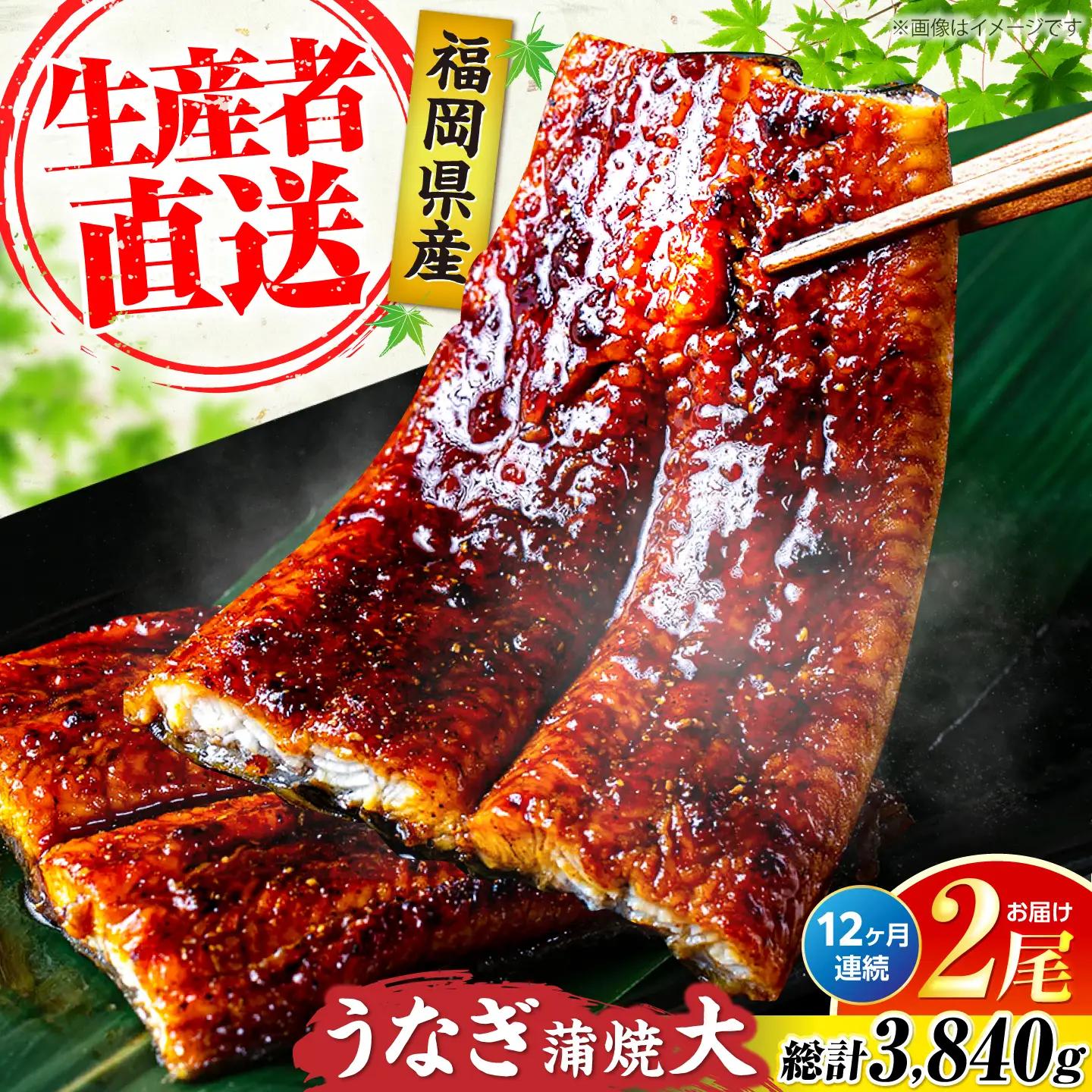【全12回定期便】福岡県産 うなぎ 蒲焼 大2尾 VAD013 うなぎ
