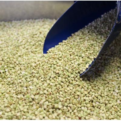 ふるさと納税 深川市 深川産そばの実(500g×2袋) |  | 01
