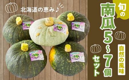 【JAS認定有機野菜】旬の南瓜5～7個セット 【 ふるさと納税 人気 おすすめ ランキング 旬 かぼちゃ 南瓜 カボチャ 旬のかぼちゃ パンプキン 野菜 セット JAS認定 有機野菜 有機栽培 無農薬 クリリン 雪化粧 煮つけ 塩煮 天ぷら グラタン スープ グリル おいしい ほくほく 甘い 健康 ヘルシー 北海道 北斗市 送料無料 】 HOKB005