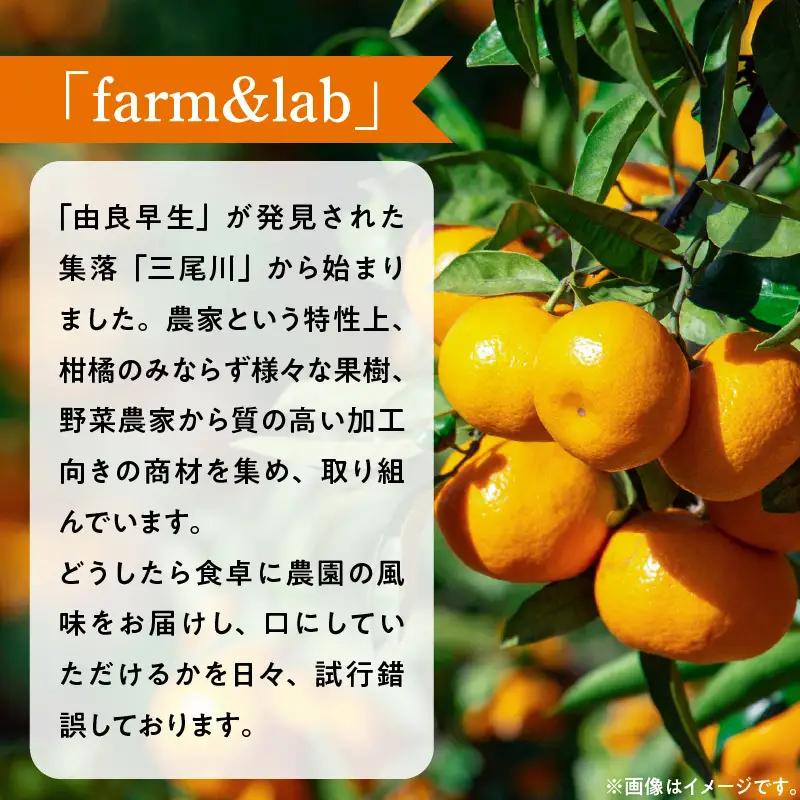 みかんジュース 1L × 2本「ゆら絞りみかん 無添加」_DG6016n