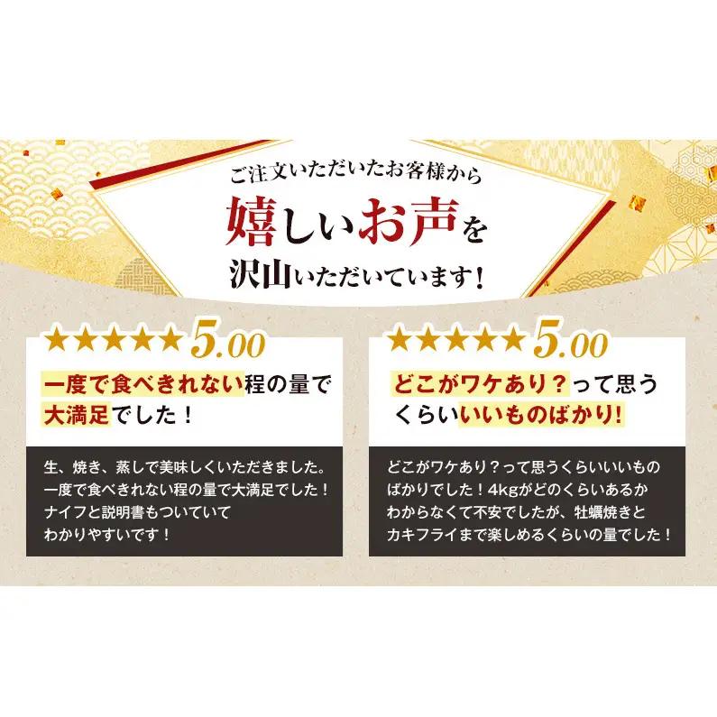 3月配送 訳あり 牡蠣 北海道厚岸産 殻付カキ 約4kg (25から50個) カキナイフ付 生食 生牡蠣 貝付き牡蠣 貝 海鮮 魚介類 殻付き牡蠣 マルえもん