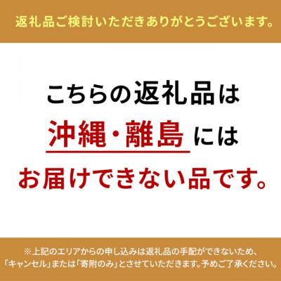 ふるさと納税 安芸高田市 カープ公認 骨盤スリムストレッチクッション 猫背 巻き肩 肩甲骨 [No5895-0823] |  | 01