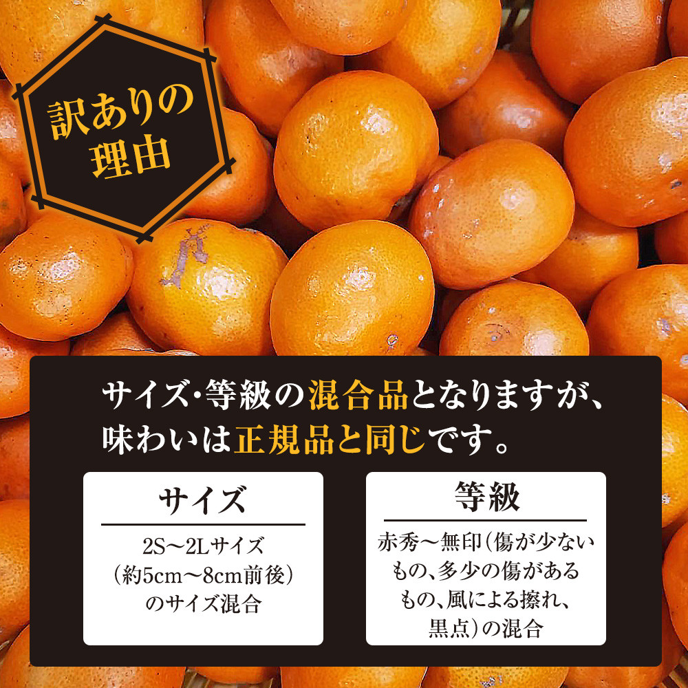 有田みかん専門店 有田の太陽®ファミリー 早生または晩生 有田みかん 4.5kg＋補償分100g 山採れ・サイズ・等級 混合 FH05_イメージ4
