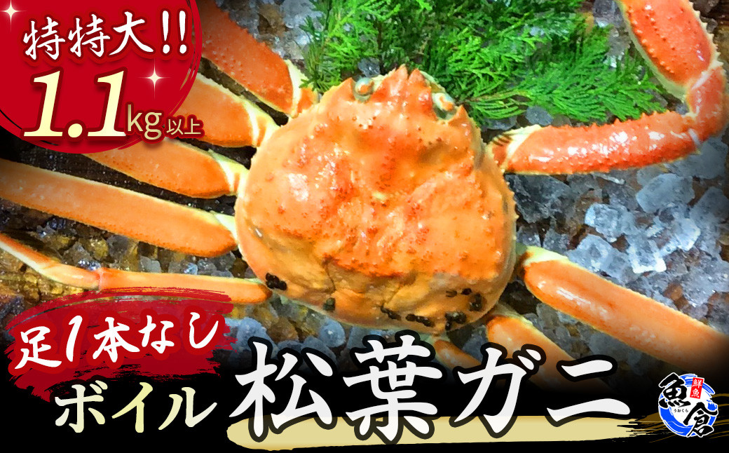 
            【魚倉】足１本なしボイル松葉ガニ（特特大１，１００ｇ以上）訳あり 松葉ガニ カニ ズワイガニ カニ爪 冷蔵 ボイル ずわいがに わけあり 期間限定 国産 鳥取県 倉吉市
          