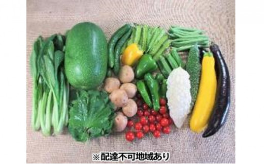 [№5895-0458]旬の野菜【L】セット【配達不可：北海道・沖縄・離島】