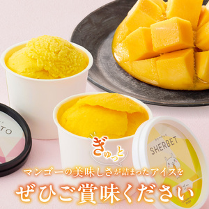【2027年7月お届け】完熟マンゴーのジェラート＆シャーベット130ml×6個入り_完熟 マンゴー ジェラート シャーベット セット 130ml × 6個 各3個 高糖度 果肉 使用 地植栽培 アイス