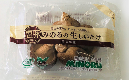 生椎茸 ・ 乾燥椎茸 詰め合わせ セット 野菜 きのこ 椎茸 しいたけ 乾物 干し椎茸 干ししいたけ 野菜セット 