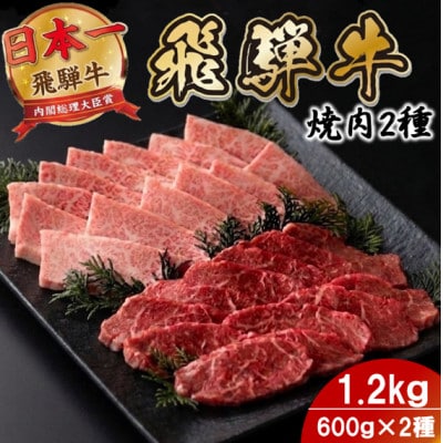 プチ贅沢!飛騨牛焼肉2種セット6人前1.2kg 赤身・霜降り(モモ・カタ/バラカルビ)【配送不可地域：離島】