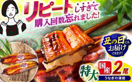 【最速発送】＜諫早淡水＞特大うなぎ蒲焼2尾 / うなぎ ウナギ 鰻 特大 蒲焼き ウナギ蒲焼 国産 冷凍 うな重 うな丼 ウナギ ひつまぶし / 諫早市 / 諫早淡水 [AHAT014]  最速 最短 スピード 発送