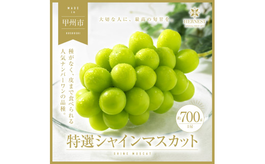 甲州市産 特選シャインマスカット 1房 約700g【2026年発送】（HNT）B18-417 【シャインマスカット 葡萄 ぶどう ブドウ 令和8年発送 期間限定 山梨県産 甲州市 フルーツ 果物】