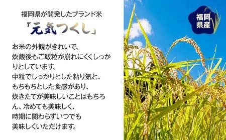 【令和7年産】 福岡県 大木町産 元気つくし 5kg　BC02_2