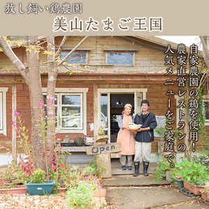 No.1024 《数量限定》桜島大根とオリーブ鶏のサムゲタン(3種・9袋セット) 国産 九州産 鶏肉 サムゲタン 参鶏湯 お肉 黒米 玄米 レトルト 詰め合わせ ごはん おかず 韓国料理 滋養食 健康