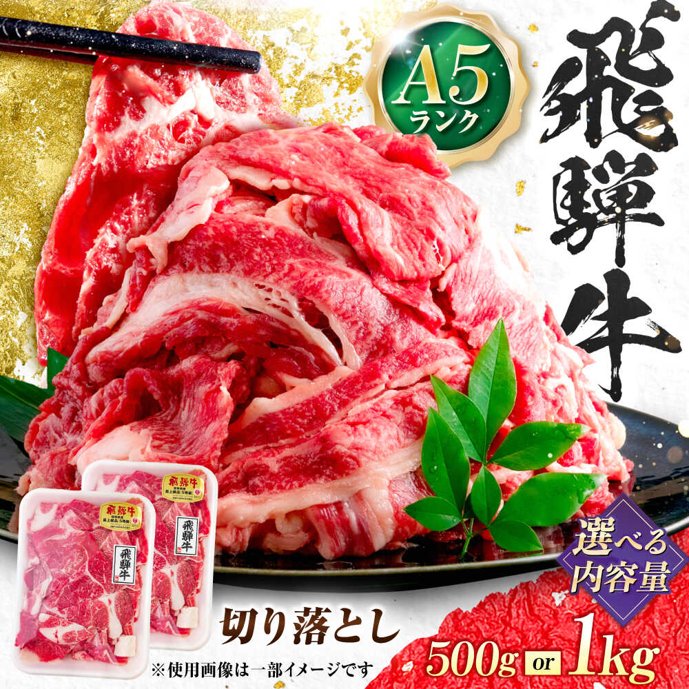 【ふるさと納税】＼キャンペーン対象／【選べる容量】 飛騨牛 A5等級 切り落とし / 牛肉 和牛 冷凍 切り落とし 切り落とし肉 切りおとし 最高級 a5 A5 牛 和牛 牛肉 お肉 高級 贈答ギフト 岐阜市 / 肉の松久[ANIP001]