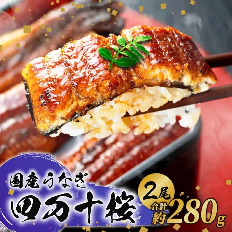 【通常用】極上国産うなぎ四万十桜  蒲焼き(140g×2尾)  完全無投薬 蒲焼き