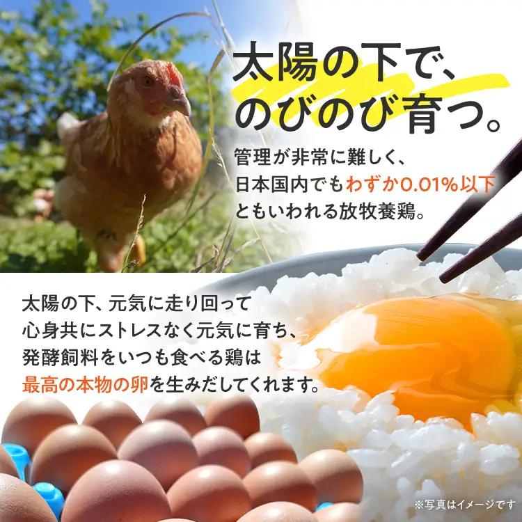 卵 定期便 6回 放牧養鶏卵 10個 「破損補償2個含」 6ヶ月間 若のレボリューション 卵 ※北海道・沖縄・離島は配送不可