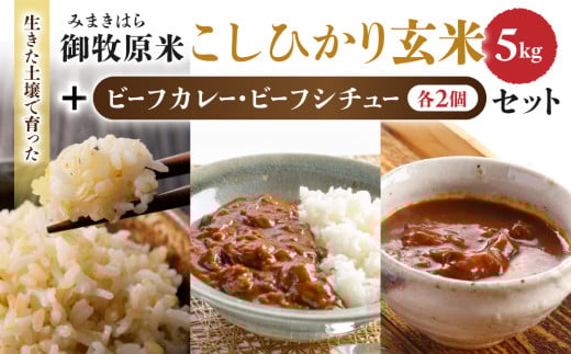 【里山JAPAN】長野県産！生きた土壌で育った『御牧原米こしひかり 玄米5kg』と小田切牧場ビーフカレー、ビーフシチューセット｜2025年10月上旬以降に発送予定