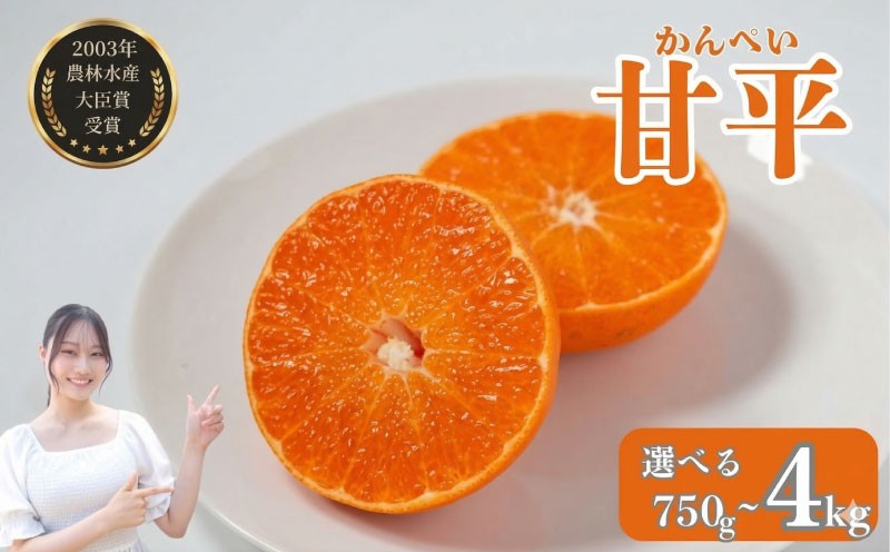 
                  【先行予約】 数量限定 甘平 750g~4kg サイズミックス   訳あり 贈答用 家庭用 みかん 蜜柑 柑橘 果物 フルーツ 高級 人気 糖度 ビタミン 健康 美容 ブランド 国産 減農薬  除草剤不使用 有機肥料使用  愛媛県 愛南町  吉本農園 送料無料 発送期間:2027年2月～なくなり次第終了
                